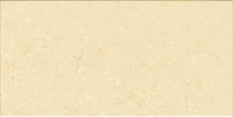 WFB177�����n�