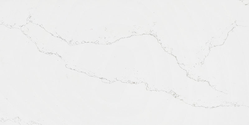 WSG301���F�P����