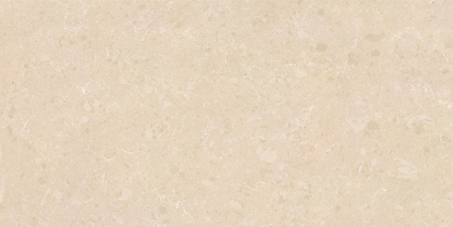 WFD163�W�������S