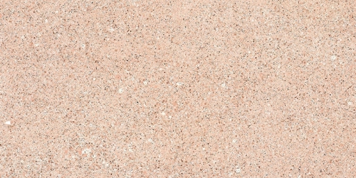WSA054���`��