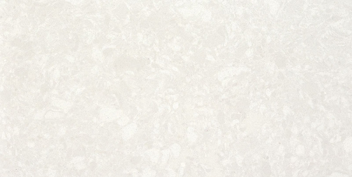 WSC142�P����