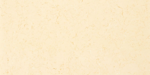 WSD171�F�����S